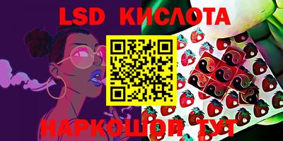 гашик Ирбит