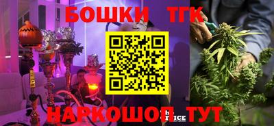спиды Заводоуковск